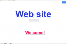 ウェブサイト