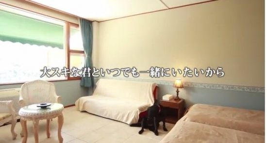 ペットと泊まれるホテル