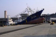 東日本大震災 3.11 2011年