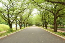 公園-Park